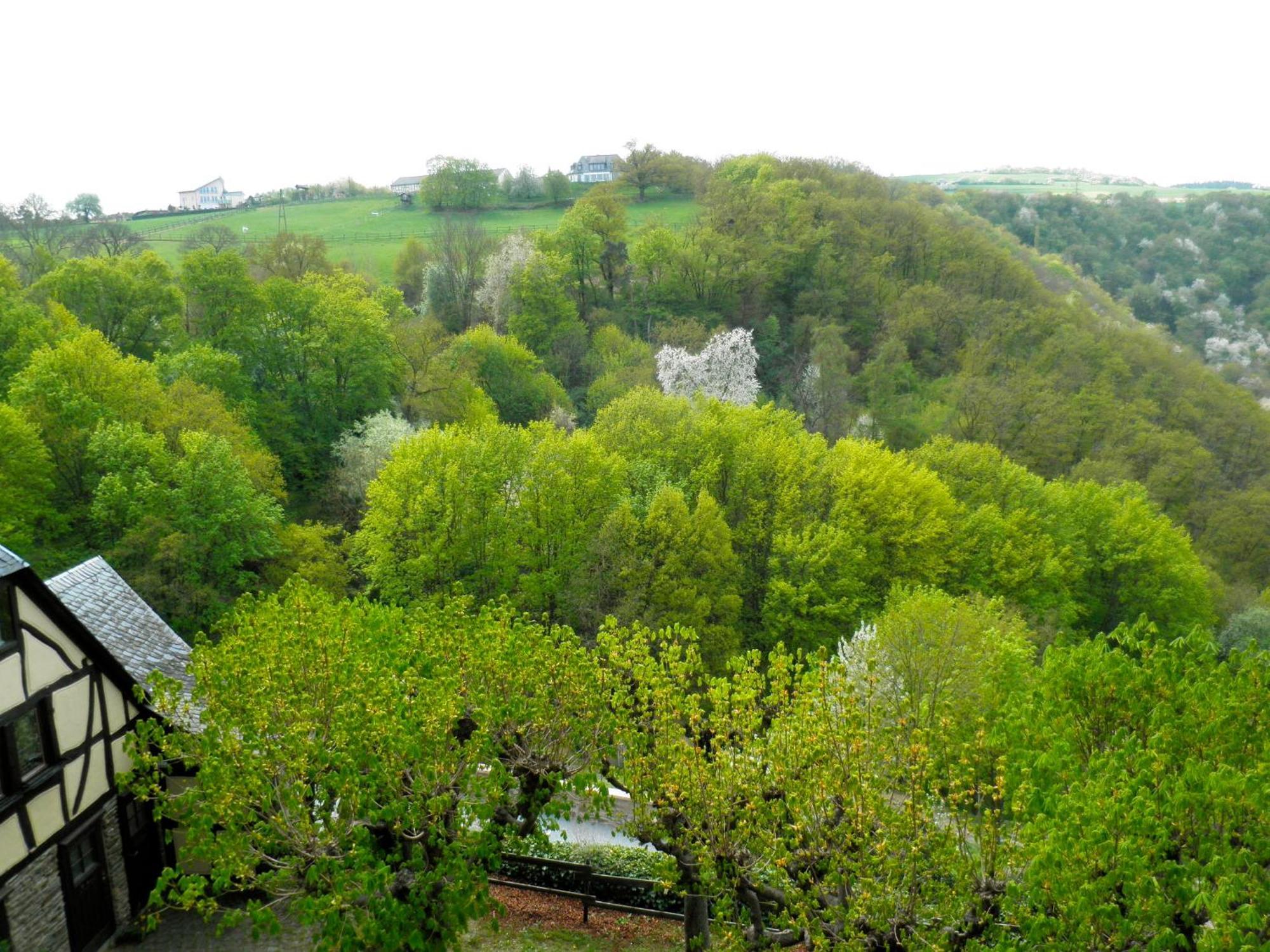 Burghotel Auf Schoenburg Обервезель Номер фото